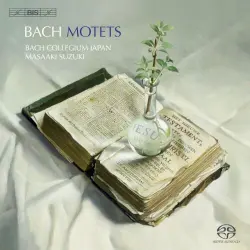 Motets Motets