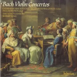 Violin Concertos