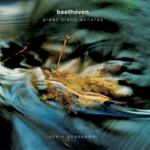 Great Piano Sonatas
