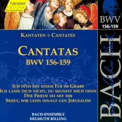 Cantatas, BWV 156–159