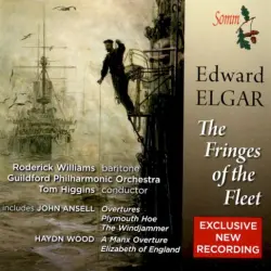 The Fringes of the Fleet