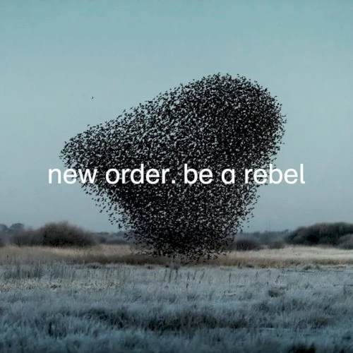 Be a Rebel