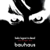 Bela Lugosi Is Dead (The Hunger mix)