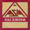 Sole Survivor