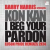 I Beg Your Pardon (Edson Pride Remixes 2K14)