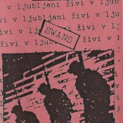 Živi V Ljubljani