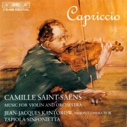 Music for violin & orchestra