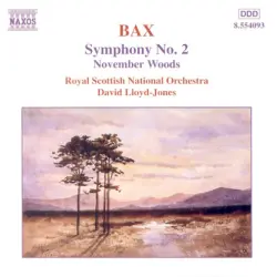 Symphony no. 2 / November Woods