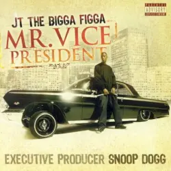 Mr. Vice President