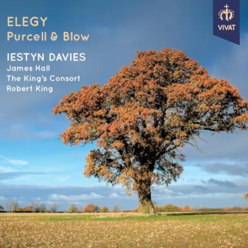Elegy