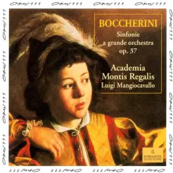 Sinfonie a grande orchestra op. 37