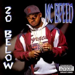 20 Below