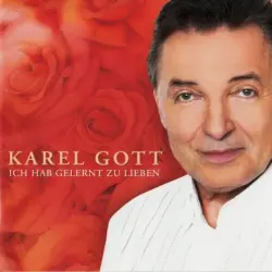 Ich hab gelernt zu lieben