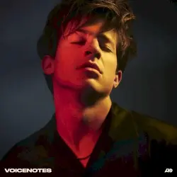 Voicenotes Voicenotes