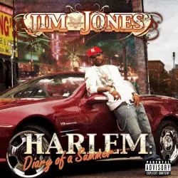 Harlem: Diary of a Summer