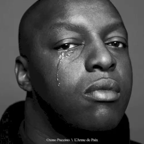 L’Arme de paix