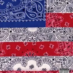 All-Amerikkkan Bada$$ All-Amerikkkan Bada$$