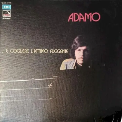 … E cogliere l’attimo fuggente