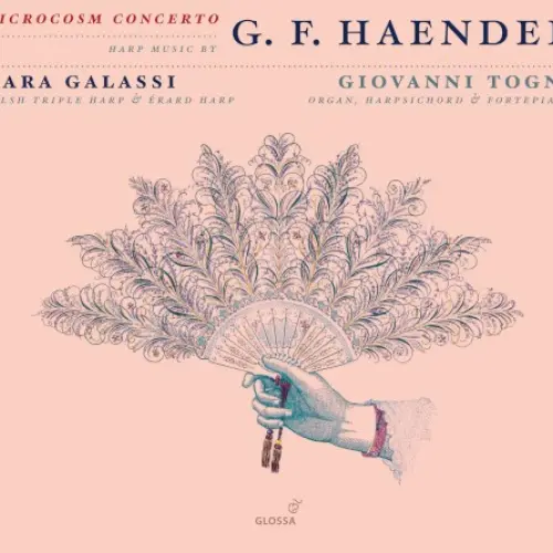 Microcosm Concerto
