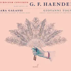 Microcosm Concerto