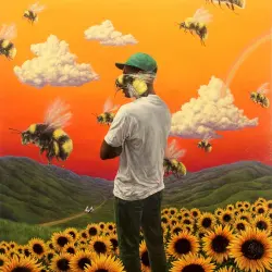 Flower Boy Flower Boy
