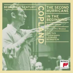 Copland: The Second Hurricane, In The Beginning