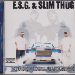 Boss Hogg Outlaws
