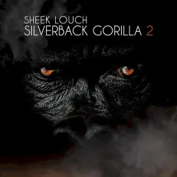 Silverback Gorilla 2