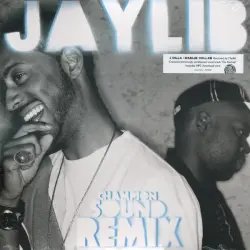 Champion Sound: The Remix