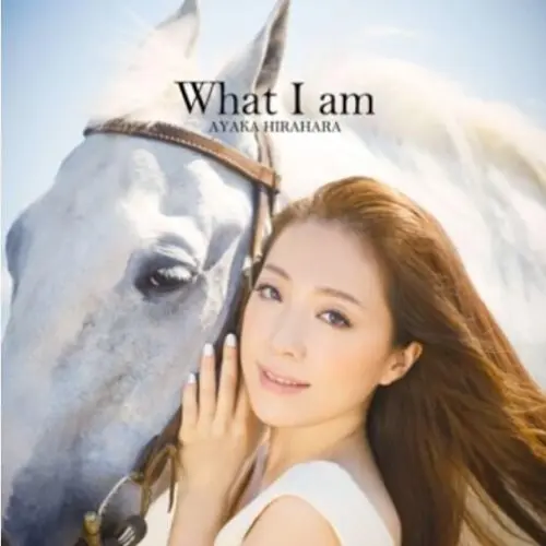 What I am