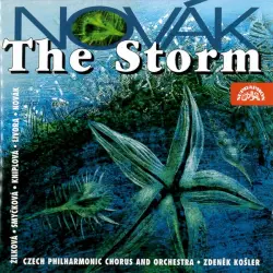The Storm