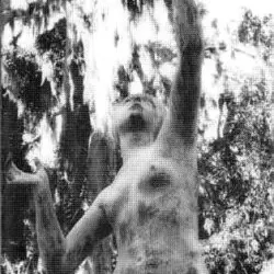 Algor / Ruin of Hedonism