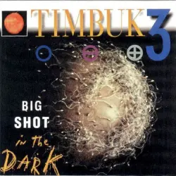 Big Shot in the Dark