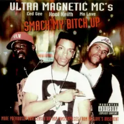 Smack My Bitch Up