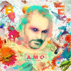 Amo Amo