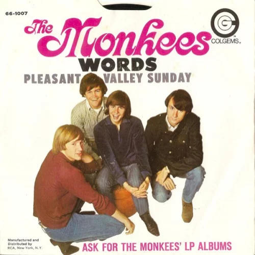 Pleasant Valley Sunday / Words