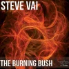 The Burning Bush (VaiTunes #5)