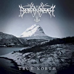 True North