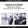 Brilliant Trees / Secrets Of The Beehive