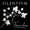 Forever Sleep (acoustic reprise)