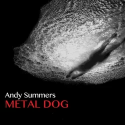 Metal Dog Metal Dog
