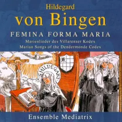 Feminea forma Maria: Marienlieder des Villarenser Kodex