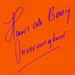 Onvervangbaar