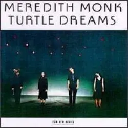 Turtle Dreams