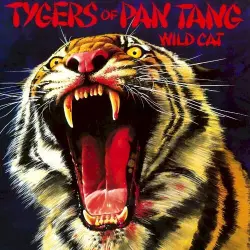 Wild Cat