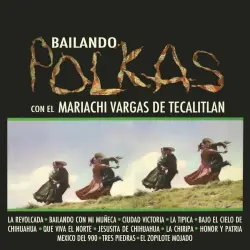 Bailando Polkas Bailando Polkas
