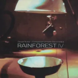 Rainforest IV