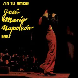 Sin Tu Amor Sin Tu Amor