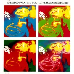 Everybody Wants to Shag…