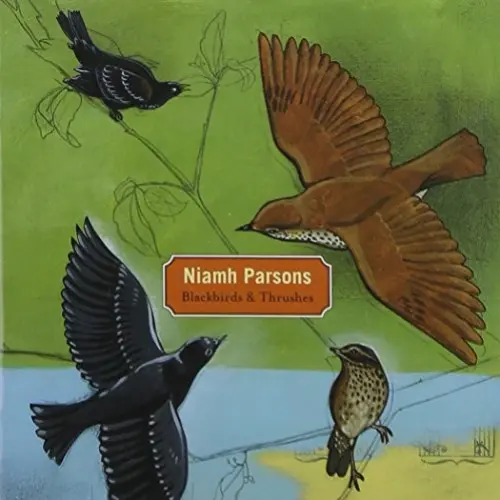 Blackbirds & Thrushes
